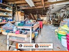 Maison 3 chambres dont 1 en RDC - Grand terrain, champ, hangars