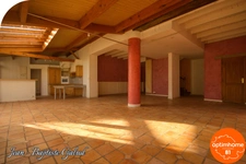 BLAYE LES MINES - Maison bourgeoise avec local commercial et grand jardin