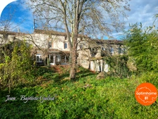 BLAYE LES MINES - Maison bourgeoise avec local commercial et grand jardin