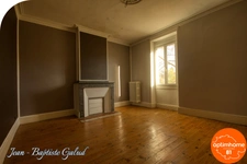 BLAYE LES MINES - Maison bourgeoise avec local commercial et grand jardin