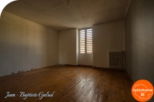 BLAYE LES MINES - Maison bourgeoise avec local commercial et grand jardin