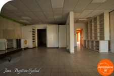 BLAYE LES MINES - Maison bourgeoise avec local commercial et grand jardin