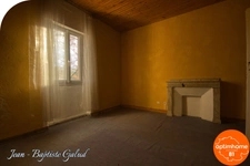 BLAYE LES MINES - Maison bourgeoise avec local commercial et grand jardin