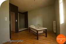BLAYE LES MINES - Maison bourgeoise avec local commercial et grand jardin