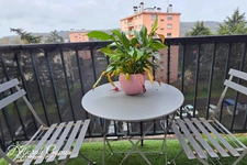 Appartement T3 lumineux entièrement rénové – Vue Pyrénées