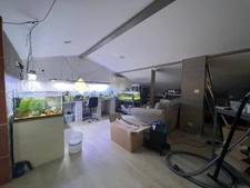Propriete à vendre 15 pièces CORNEBARRIEU (31)