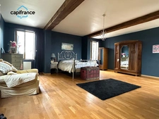Salvagnac 81, magnifique propriété T9-T10 450 m² (dont 3 Gîtes loués), terrain de 1.6 hectares 