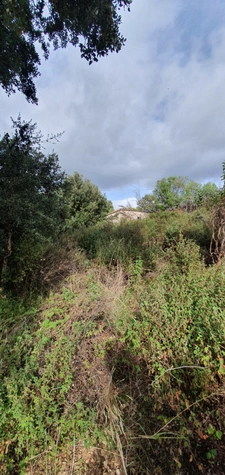Terrain de 3 000 m² à vendre – Petreto-Bicchisano