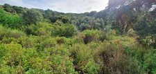 Terrain de 3 000 m² à vendre – Petreto-Bicchisano