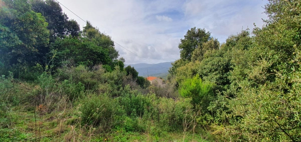Dpt Corse (20), à vendre PETRETO BICCHISANO terrain 1000 m2