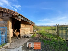 Maison 197 m² habitables + véranda et pièces aménageables (320 m² existants) – Terrain 18 000 m²