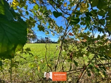 Envie d’espace et de calme en pleine campagne ?