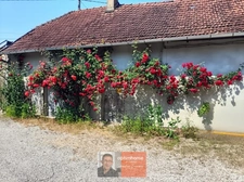 Maison 2 chambres, dépendances et multiples possibilités d'aménagement