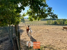 PROPRIÉTÉ D’ENVIRON 230 M² SUR PRÈS DE 2 HECTARES – DÉPENDANCES, PISCINE ET CALME ABSOLU