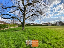 Cramans – Beau terrain constructible de 970 m² dans un environnement calme et verdoyant
