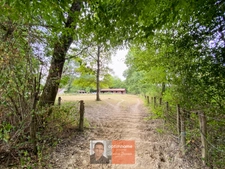Ferme bressane rénovée – 136 m² – 5 chambres – 2,3 ha – Boxes chevaux