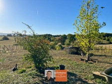 PROPRIÉTÉ D’ENVIRON 230 M² SUR PRÈS DE 2 HECTARES – DÉPENDANCES, PISCINE ET CALME ABSOLU
