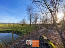 PROPRIÉTÉ D’ENVIRON 230 M² SUR PRÈS DE 2 HECTARES – DÉPENDANCES, PISCINE ET CALME ABSOLU