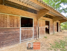 Ferme bressane rénovée – 136 m² – 5 chambres – 2,3 ha – Boxes chevaux