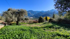 EXCLU VENTE : Terrain à batir, de 567,00 m² MONCALE (20)