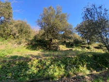 Dpt Pyrénées Orientales (66), à vendre REYNES, maison P6 de 136 m² sur terrain de 1.72 ha avec sous-sol et garage