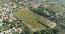 Dpt Pyrénées Orientales (66), à vendre BANYULS DELS ASPRES terrain constructible 256 m² en 3 faces