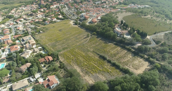 Dpt Pyrénées Orientales (66), à vendre BANYULS DELS ASPRES terrain constructible 256 m² en 3 faces