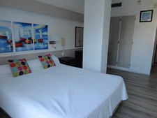 Dpt Pyrénées Orientales (66), à vendre ARGELES SUR MER appartement 1 pièce 22.34 m² terrasse vue pinède