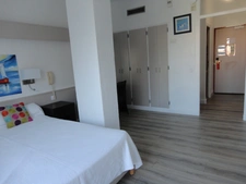 Dpt Pyrénées Orientales (66), à vendre ARGELES SUR MER appartement 1 pièce 22.34 m² terrasse vue pinède