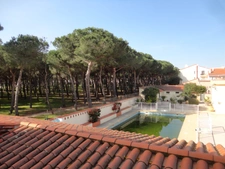 Dpt Pyrénées Orientales (66), à vendre ARGELES SUR MER appartement 1 pièce 22.34 m² terrasse vue pinède