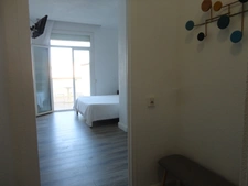 Dpt Pyrénées Orientales (66), à vendre ARGELES SUR MER appartement 1 pièce 22.34 m² terrasse vue pinède