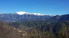 Pyrénées-Orientales (66), for sale in Jujols: Stone house with 4 bedrooms, 63 m² on a 445 m² plot