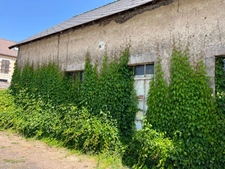 Maison à vendre 4 pièces (87 m2) TAZILLY (58)