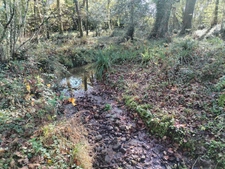 Parcelle boisée sur Amou