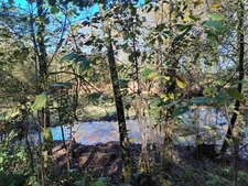 Parcelle boisée sur Amou