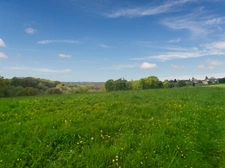 Terrain constructible plus partie agricole proche Orthez. 