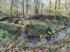 Parcelle boisée sur Amou