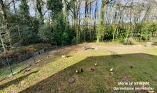 📍 À 200m du Lac de Guerlédan : Ensemble Immobilier sur la Vélodyssée