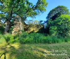 Ensemble immobilier avec gîte, dépendances, hangar, maison à rénover, puits et four à pain – sur 8 300 m² de terrain (dont plusieurs parcelles indépendantes)