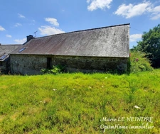 🏡 Charmante maison en pierre à rénover en campagne de Peumerit-Quintin, proche de l'étang de Kerne Huel 🌿
