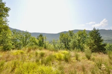 Dpt Alpes de Haute Provence (04), à vendre Proche ENTREVAUX Superbe terrain de plus d'un hectare avec vue montagnes