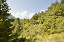 Dpt Alpes de Haute Provence (04), à vendre Proche ENTREVAUX Superbe terrain de plus d'un hectare avec vue montagnes