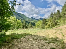 Dpt Alpes de Haute Provence (04), à vendre Proche ENTREVAUX Superbe terrain de plus d'un hectare avec vue montagnes