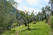 Alpes-Maritimes (06) department, for sale in Breil-sur-Roya: 7-room house on 1312 m² of land with beautiful unobstructed mountain views 