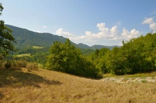 Dpt Alpes de Haute Provence (04), à vendre Proche ENTREVAUX Superbe terrain de plus d'un hectare avec vue montagnes