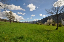 Dpt Alpes de Haute Provence (04), for sale near Annot Magnificent plot of 3700 m², beautiful view of the mountains 