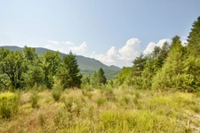 Dpt Alpes de Haute Provence (04), à vendre Proche ENTREVAUX Superbe terrain de plus d'un hectare avec vue montagnes