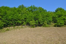 Dpt Alpes de Haute Provence (04), à vendre Proche ENTREVAUX Superbe terrain de plus d'un hectare avec vue montagnes