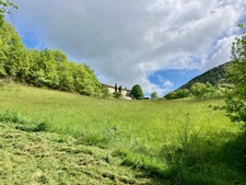 Dpt Alpes de Haute Provence (04), à vendre Proche ENTREVAUX Superbe terrain de plus d'un hectare avec vue montagnes