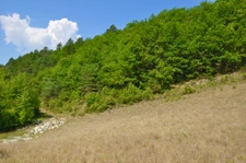 Dpt Alpes de Haute Provence (04), à vendre Proche ENTREVAUX Superbe terrain de plus d'un hectare avec vue montagnes